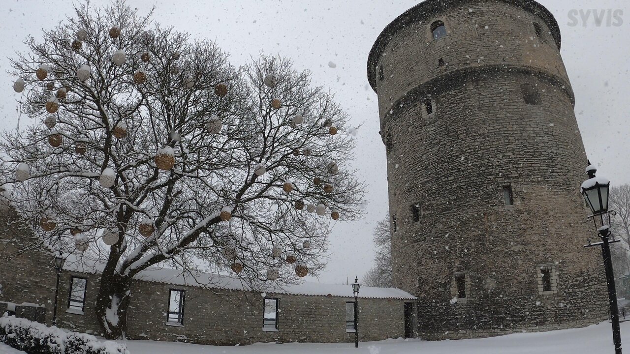 Commander's Garden in Winter