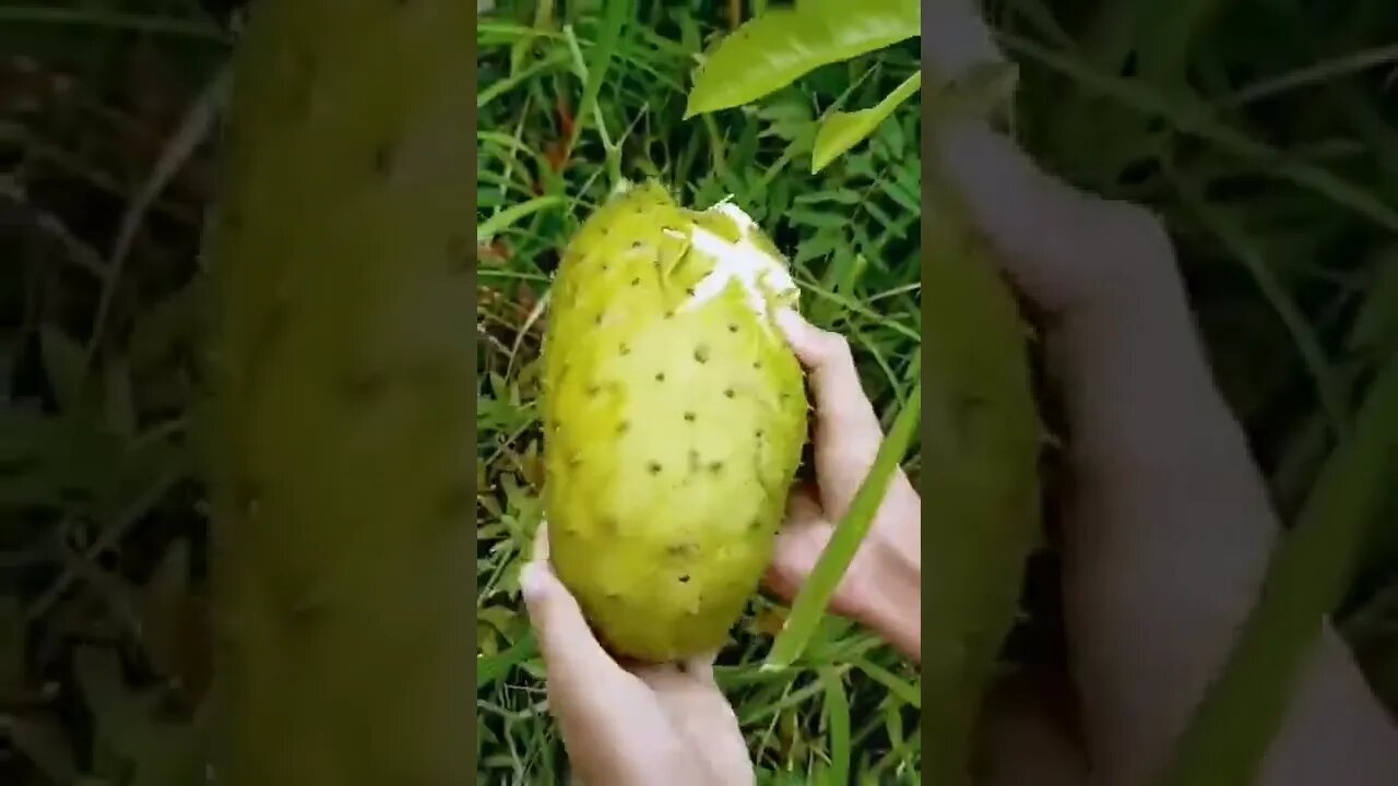 What is this and have you ever eaten?