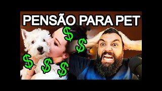 STJ DISCUTE PENSÃO PARA PETS, viva o patri4rcado!