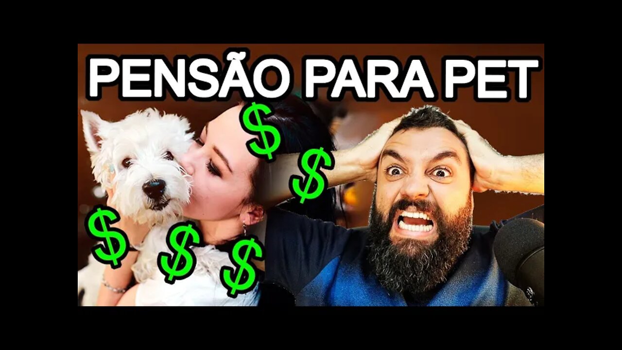 STJ DISCUTE PENSÃO PARA PETS, viva o patri4rcado!