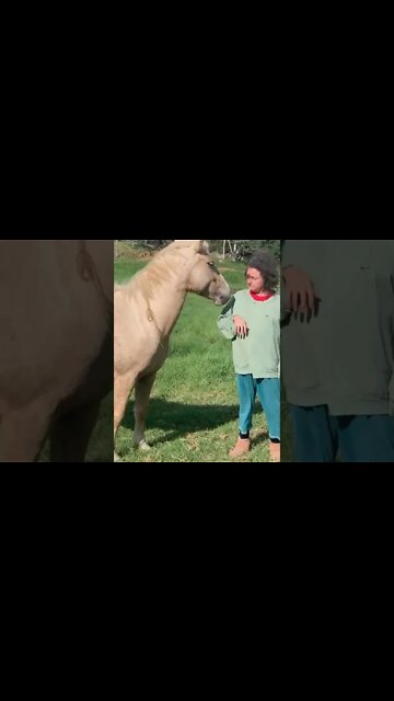 Little pats with Halo