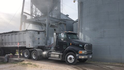 Loading Corn to take to Grain Elevator