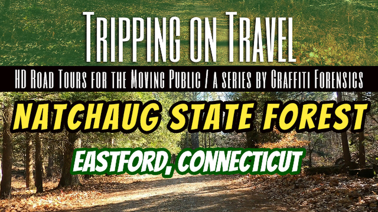 Tripping on Travel: Natchaug State Forest, Eastford, CT