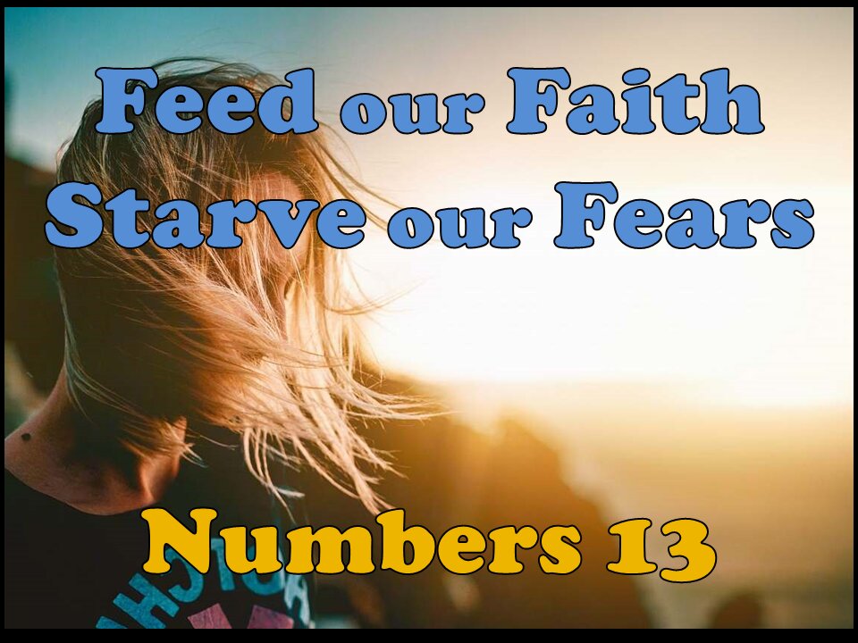 Feed Your Faith-Starve Your Fear