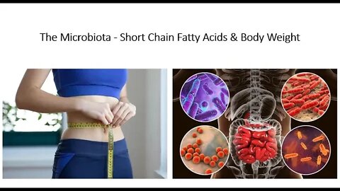 Microbiota, Weight & Short Chain Fatty Acids