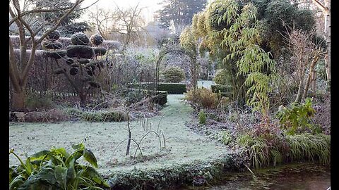 Winter & Gardening Deep Abiding Hope I