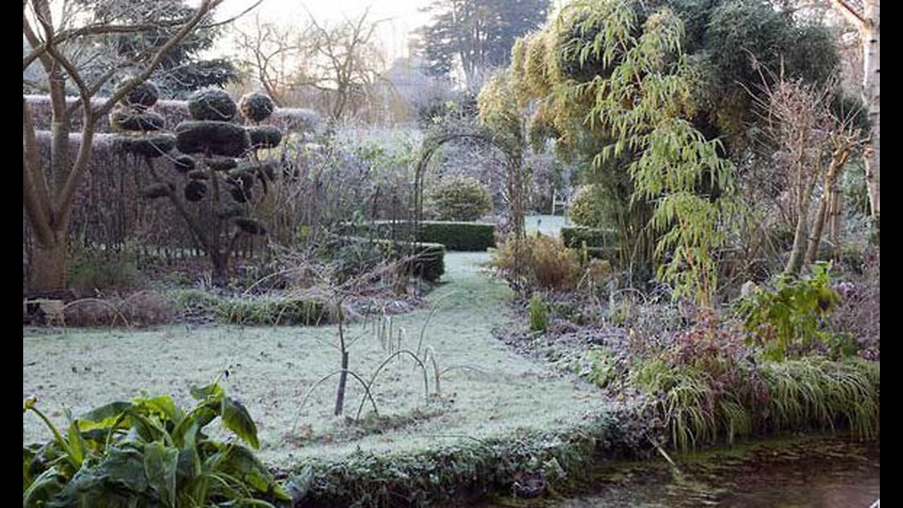 Winter & Gardening Deep Abiding Hope I