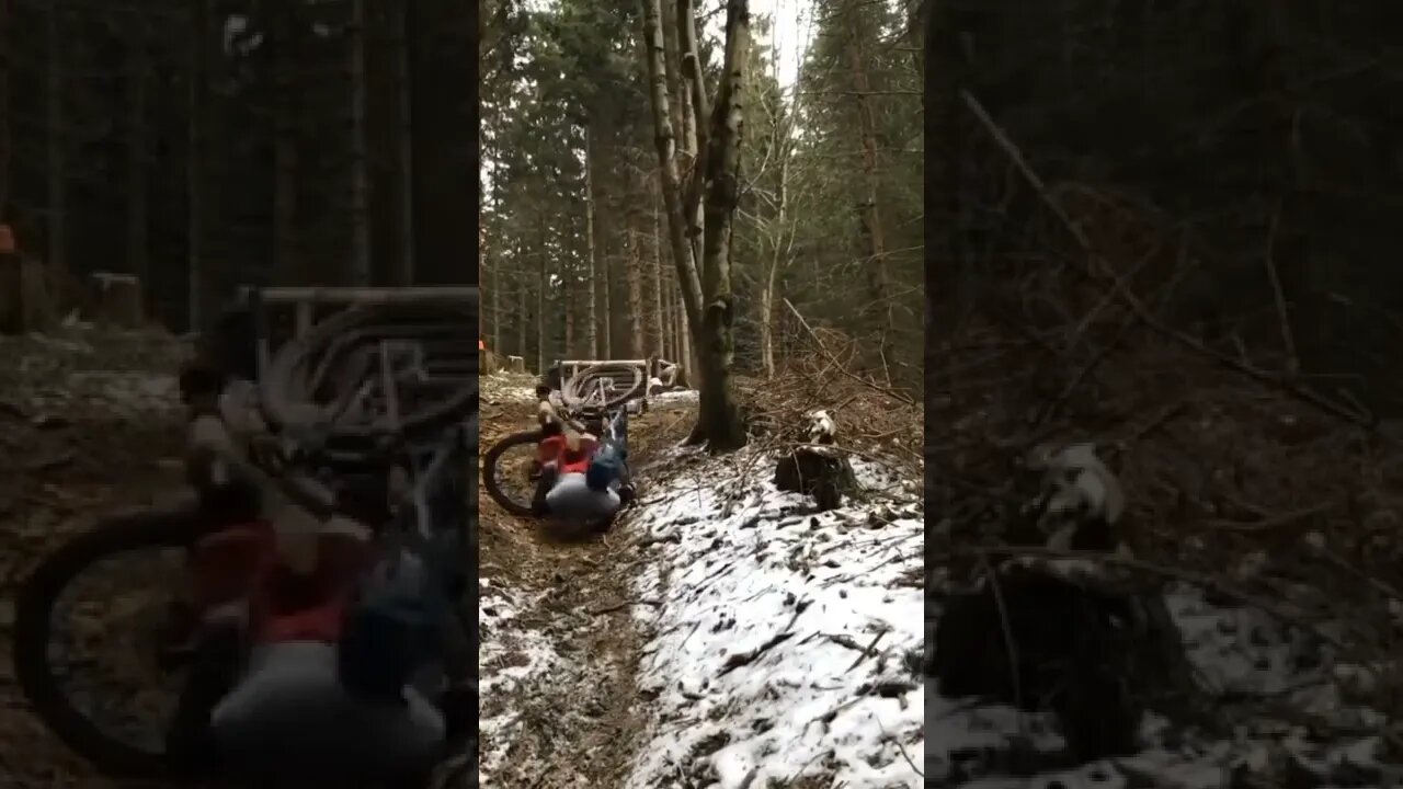 CULPA DA ÁRVORE 😂😂 #shorts