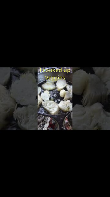 I Foraged and Cooked a Gigantic Lion's Mane Mushroom!