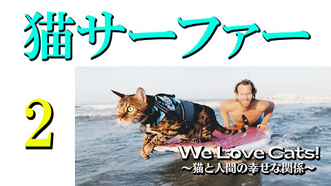 2We Love Cats! 〜06_猫サーファー