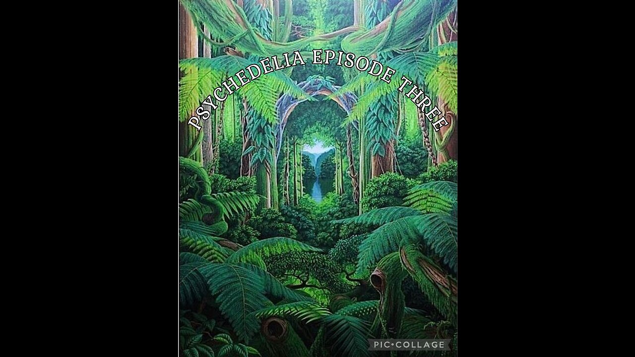 AYAHUASCA: JOURNEY INTO INFINITY