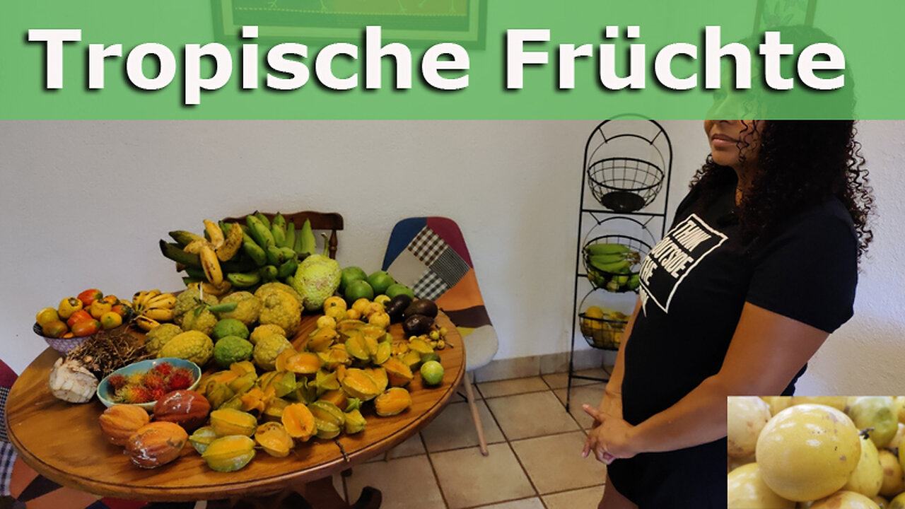 (117) Besuch einer Finca | Tropische Früchte auf dem Küchentisch | Cas, Brotfrucht, Gujava, Malanga