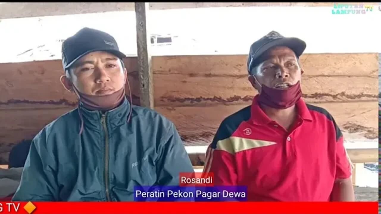 Bumdes Pagar Dewa Asri Pekon Pagar Dewa Terus Maju dan Ingin Perluas Usaha