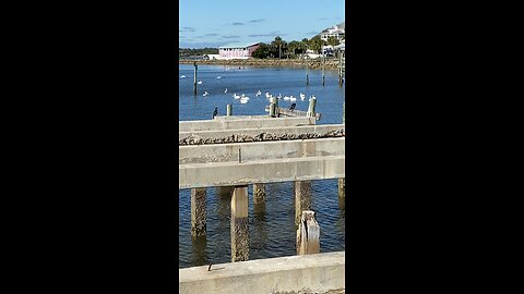 Cedar Key Florida