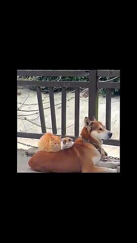 Anywhere is nice where it's warm.