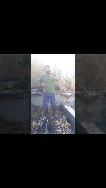 Just Pipes Collecting the Treasure part 4