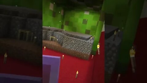 Flight Rookie #minecraft #shorts