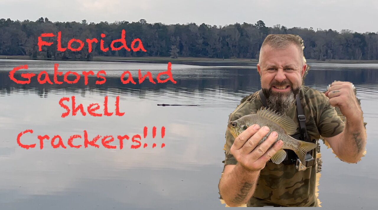 Florida Gators and Shell Crackers!!!