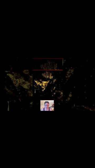 Warframe Oooh, Pretty!