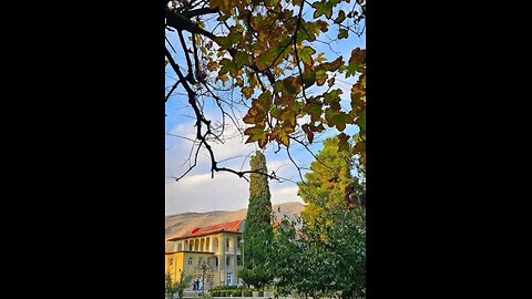 Good morning, Zagros Forest, Lorestan Province, Iran! II