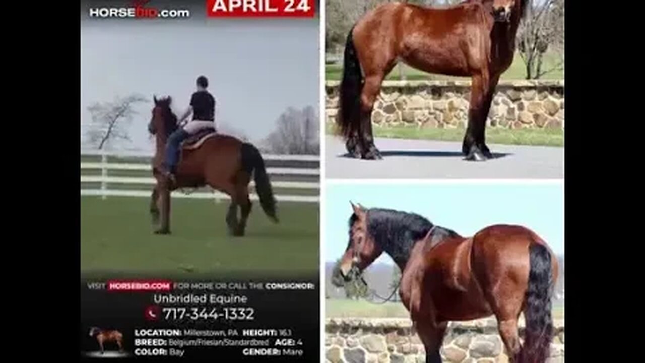 𝐁𝐑𝐈𝐍𝐃𝐈