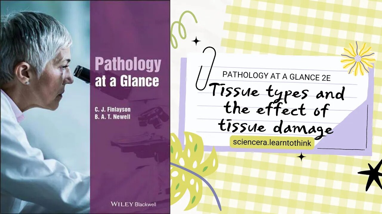 Tissue Types And The Effect Of Tissue Damage - Pathology at a Glance ( Chapter 3 Review)