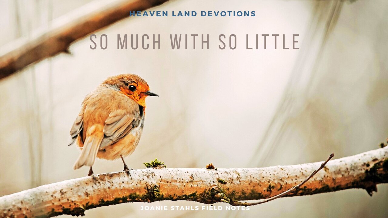 Heaven Land Devotions - So Much With So Little