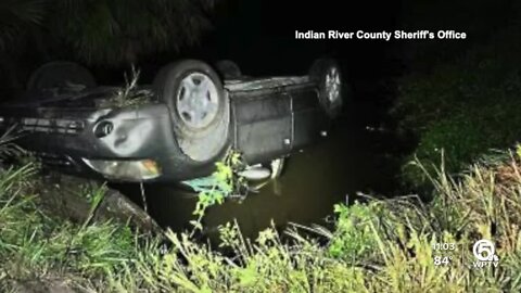 IRCSO: Driver crashes into ditch, arrested on several charges