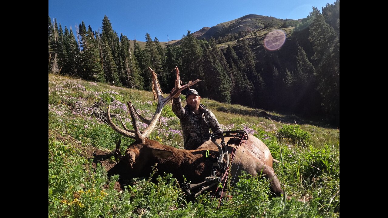 Six by spike bull elk taken on OTC Utah hunt.