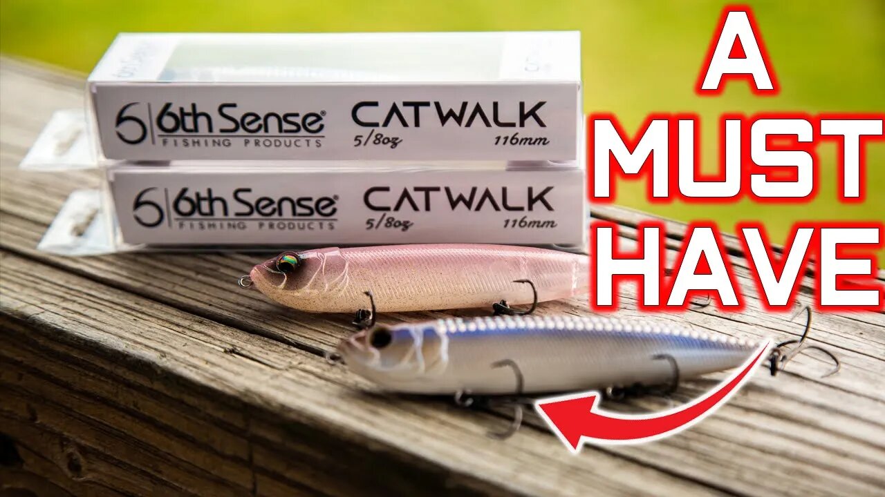 One of Lee Livesay's FAVORITE ways to catch GIANT BASS during TOURNAMENTS