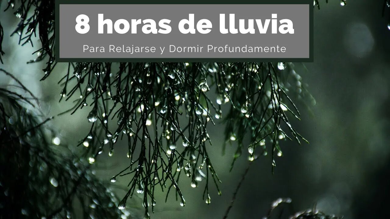 8 horas Sonido de Lluvia Relajante para Dormir - Rain Sounds For Sleeping - Som de Chuva para Dormir