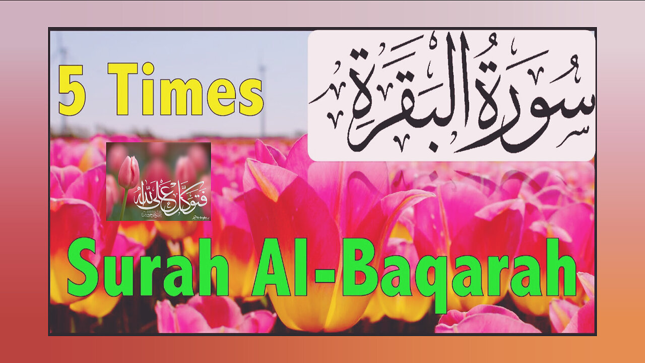 Surah bakrah 5 time