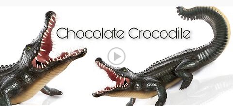 Chocolate Crocodile!