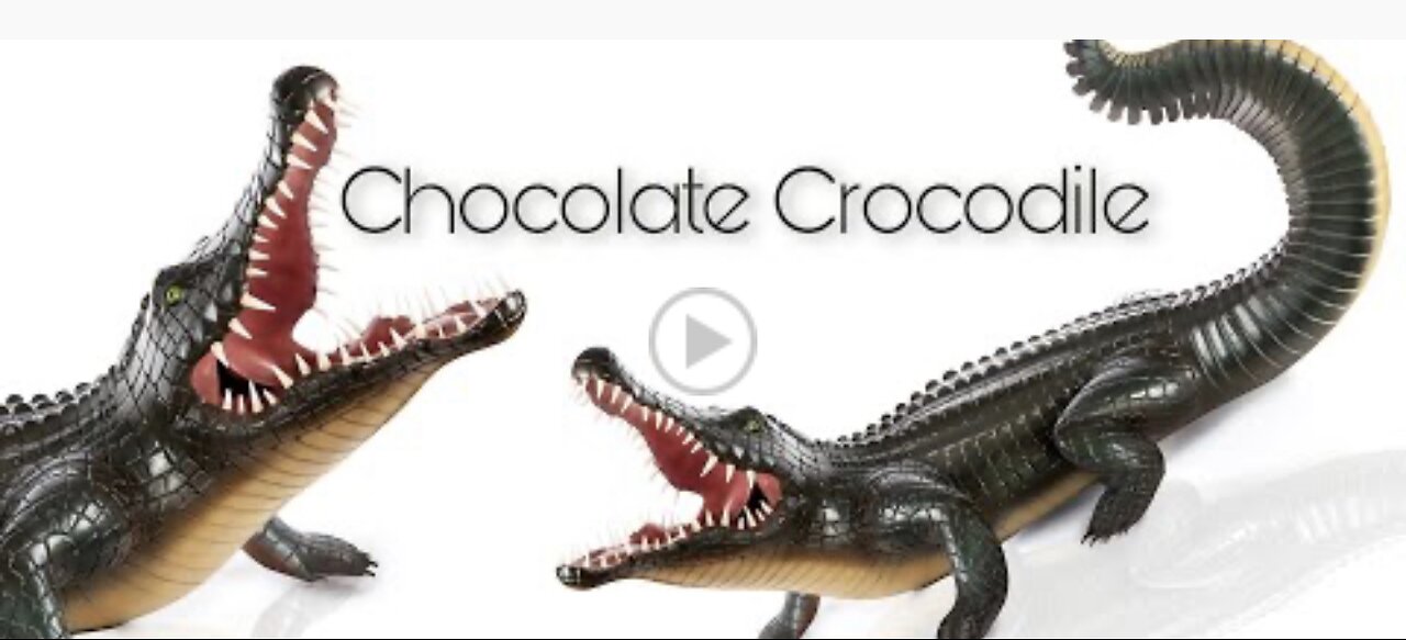 Chocolate Crocodile!