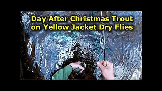 Winter Trout on Yellow Jacket Dry Flies