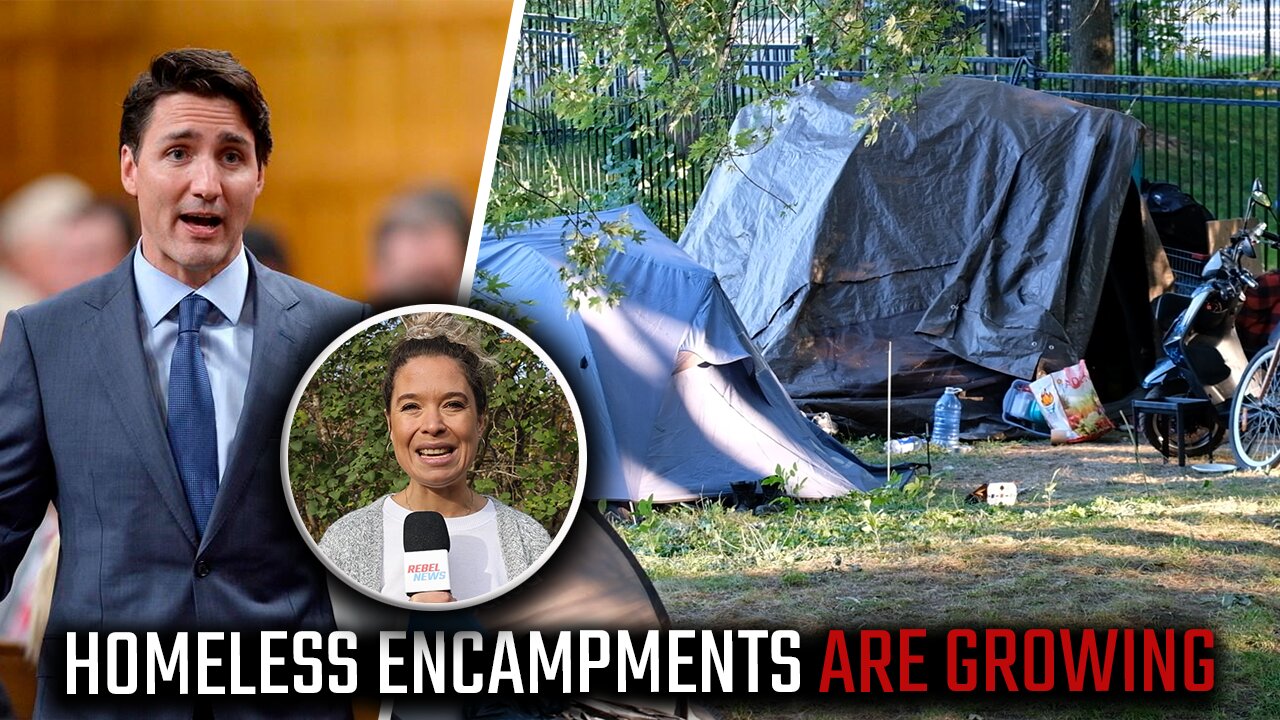 Exposing the TRUTH about Montreal homeless encampments: where is all the funding going?