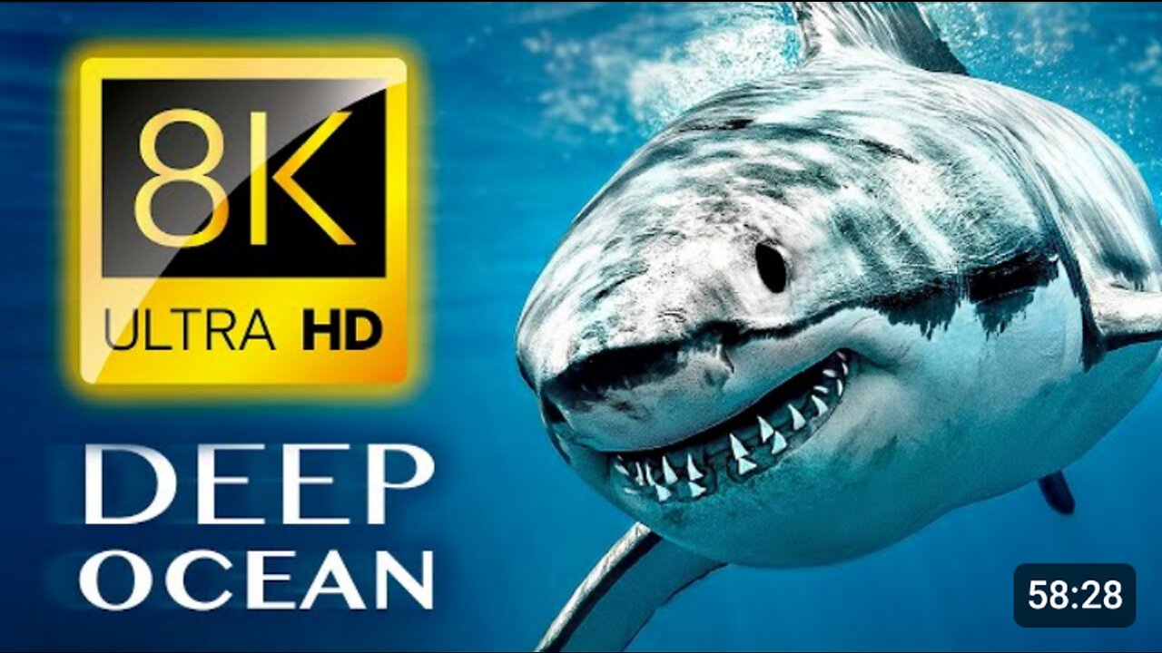 The Deep Ocean Documentary with every language subtitles In Ultra HD