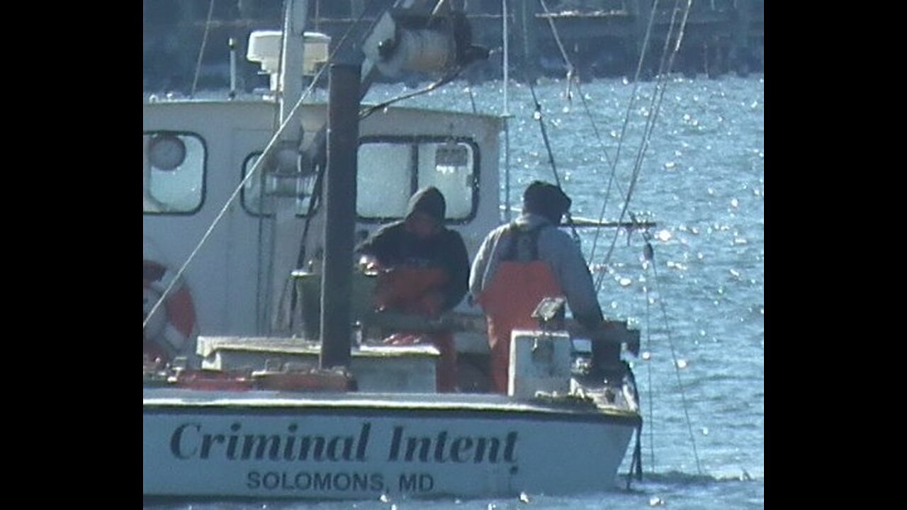 CRIMINAL INTENT - Oystering on the Patuxent River