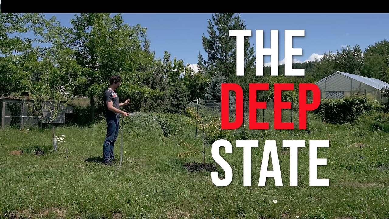 The Deep State (Owen Benjamin Benny Wills) Tidy Slick Edit