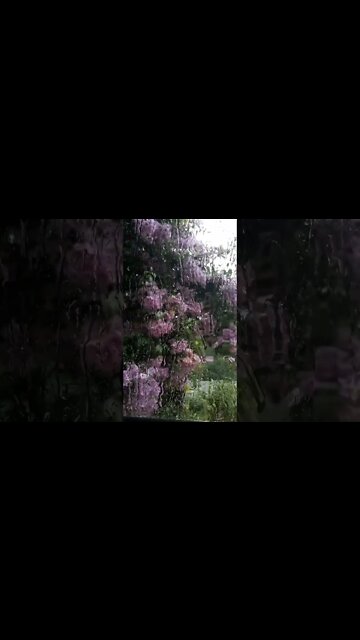 Chuva na Janela para Status