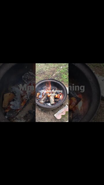 Burning Donuts Mmmm Smells Amazing #shorts