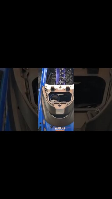 #shorts #2022 funny,prank,funjokes,dad jokes,funny memes,funny video,fun,laughing,funny animal,knock