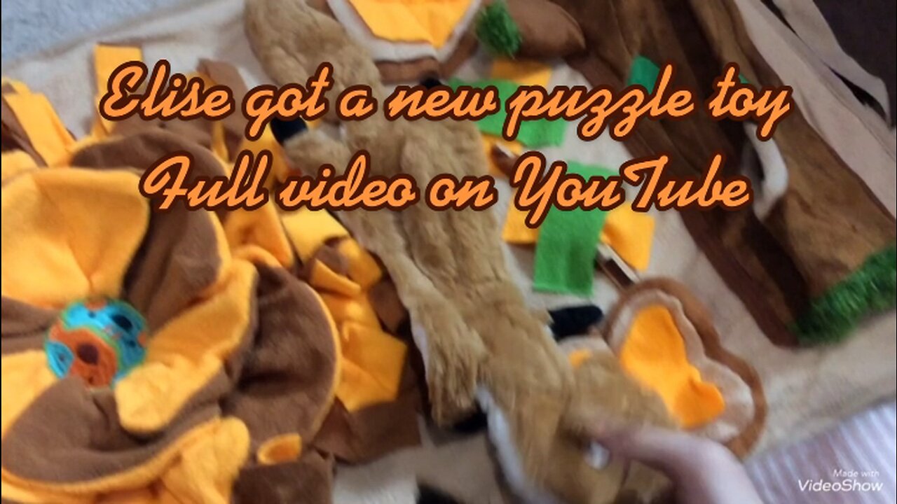 Elise got a puzzle toy