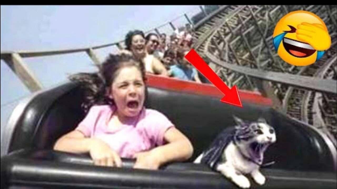 Funny Animals 🤣 Try To Stop Laughing 😁🤣