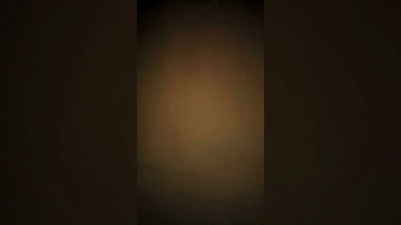 The Starving Revolutions