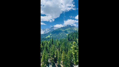 Naltar valley