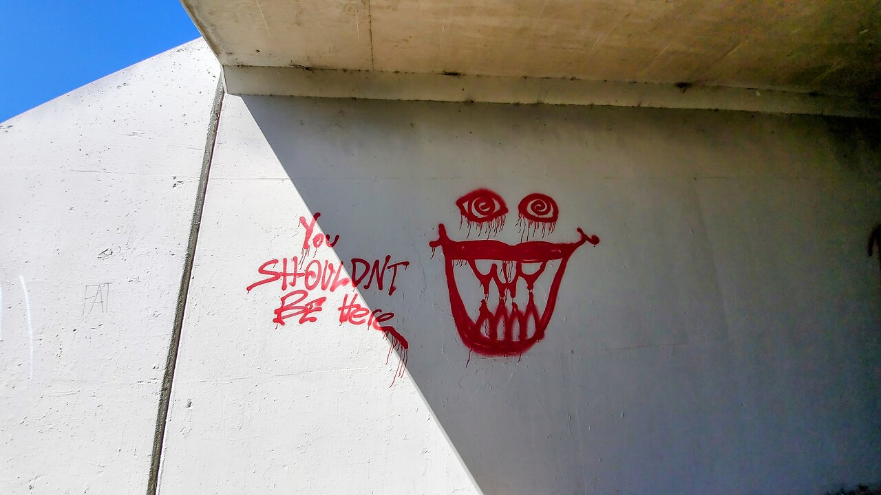 Back Beyond the Rose Bowl