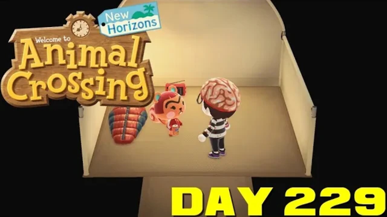 Animal Crossing: New Horizons Day 229 - Nintendo Switch Gameplay 😎Benjamillion