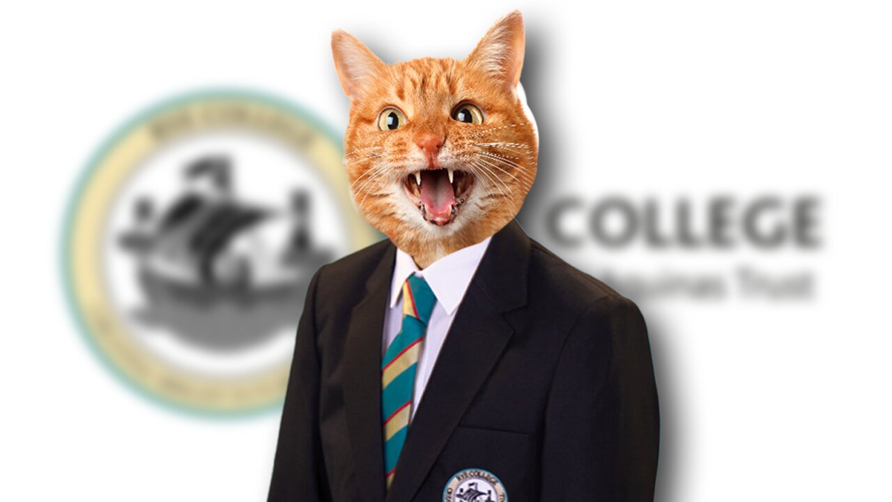 UK TEACHER UNDER FIRE FOR SHOUTING AT STUDENT OVER DISMISSAL OF HUMAN-CAT IDENTIFICATION