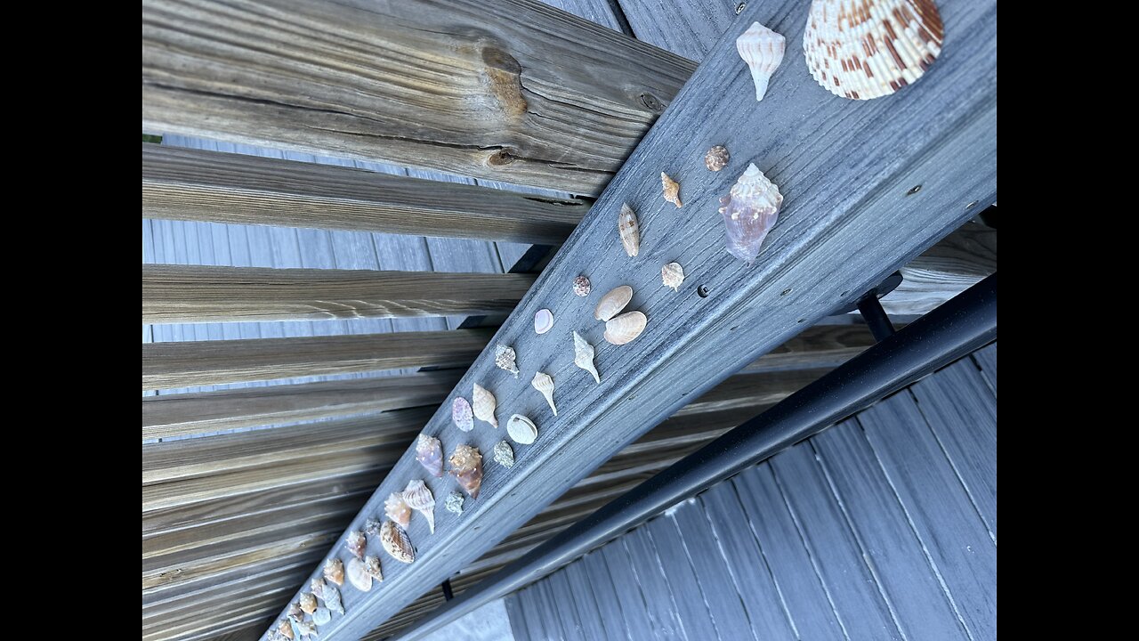 Marco Island Shell Fairy Returns! #MarcoIsland #ShellFairy #GulfOfMexico #mywalksinparadise #4K